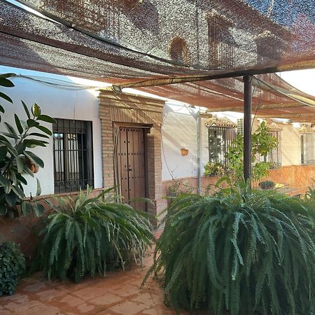 Casa Rural Antikaria Antequera Esterno foto