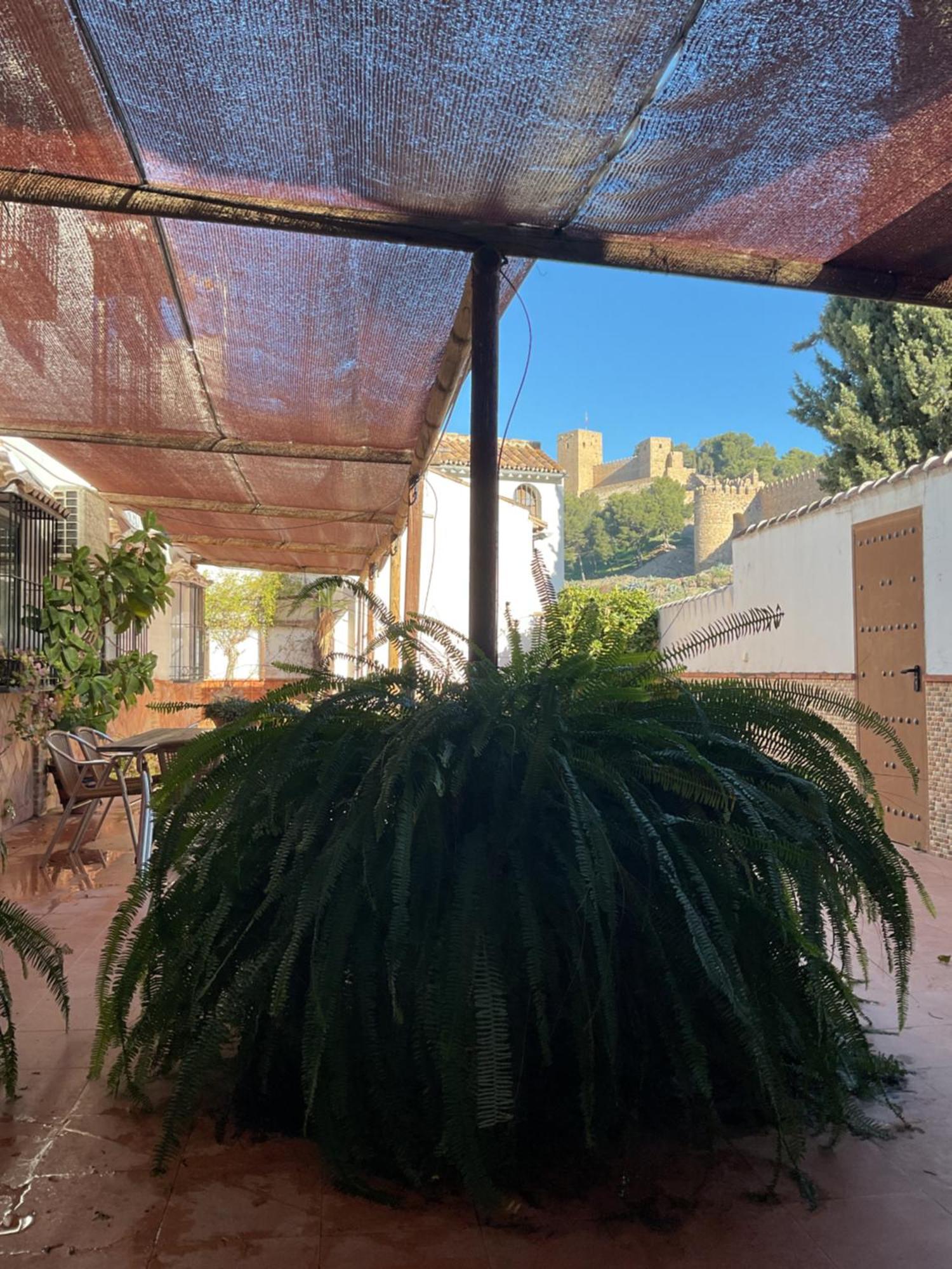 Casa Rural Antikaria Antequera Esterno foto
